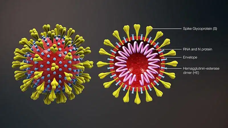 Ciri-ciri Virus, Klasifikasi, Struktur & Cara Bekerjanya